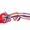 17. mai fløyte