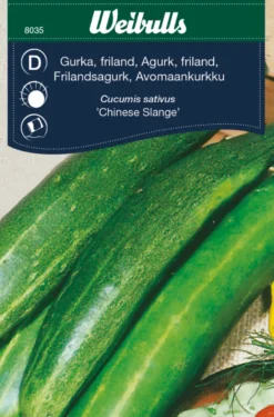 Agurk 'Kinesisk slange'