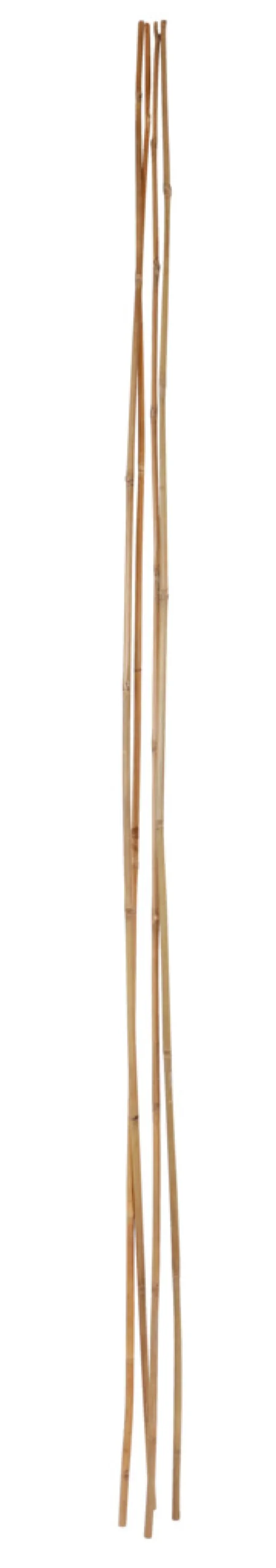 Bambuspinne - 180 cm 4 stk.