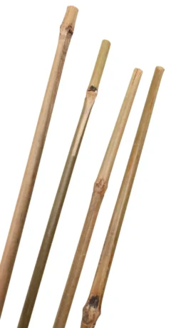 Bambuspinne 150 cm 4 stk.
