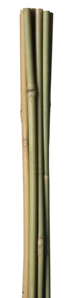 Bambuspinne 150 cm 4 stk.
