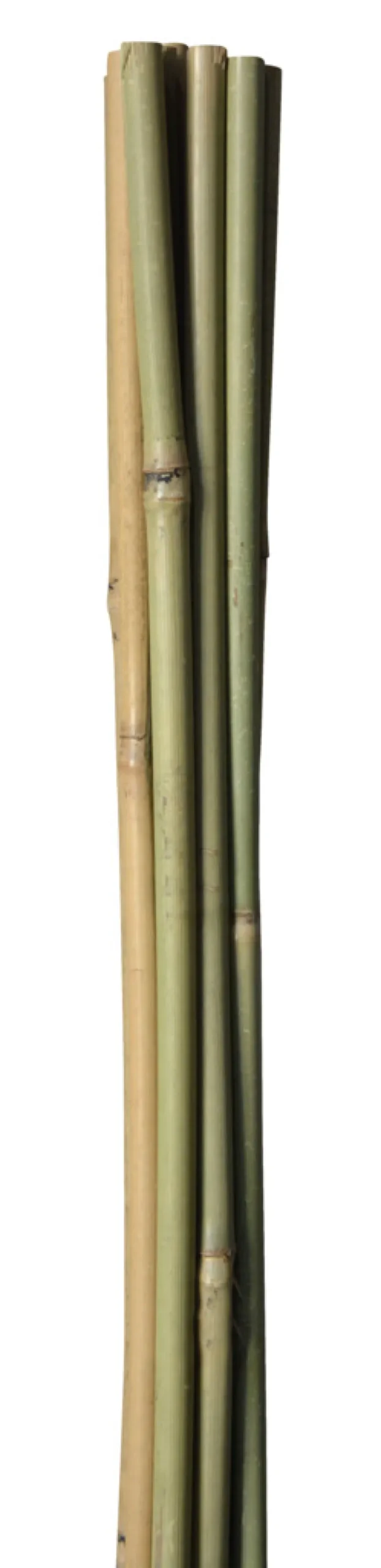 Bambuspinne 150 cm 4 stk.