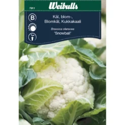 Blomkål 'Snowball'