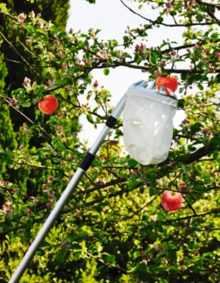 Fruktplukker med beholder - Garden®