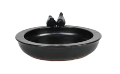 Fuglebad svart