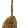 Fuglemat kokosnøtt