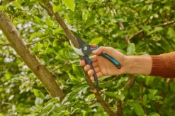 Gardena beskjæringssaks PremiumCut Pro