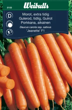 Gulrot ´Jeanette` - ekstra tidlig