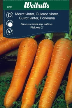 Gulrot vinter 'Flakker'