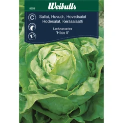 Hodesalat 'Hilde II'