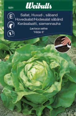 Hodesalat (såbånd) - Attraction