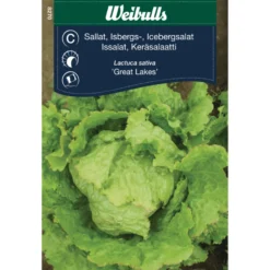Isbergsalat 'Great Lakes'