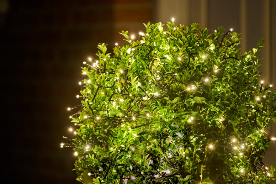 Klyngelys lyskjede 384 LED-pærer 8 meter