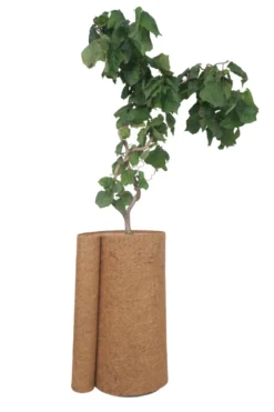 Kokosmatte 50 x 150 cm - Garden®
