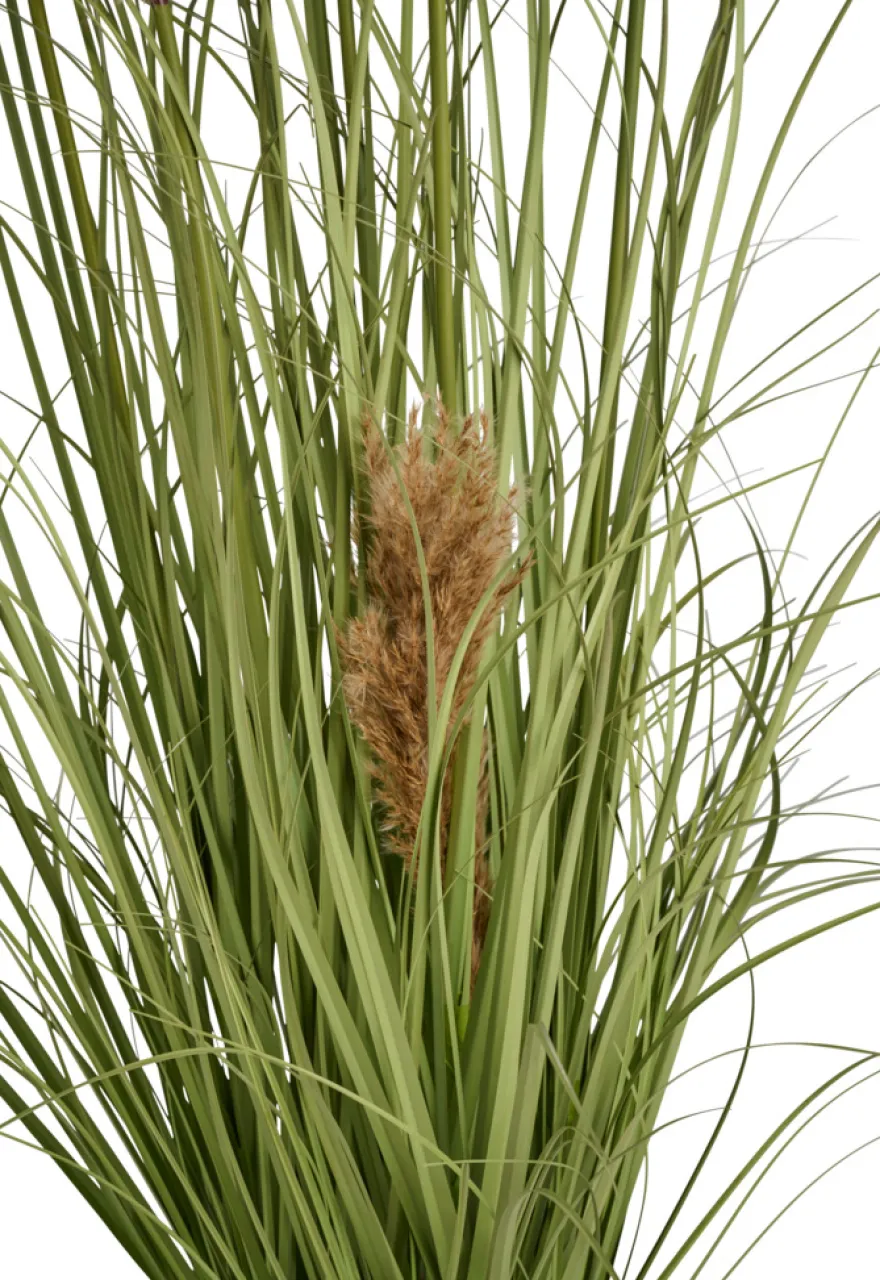 Kunstgress med ekte pampas 120 cm