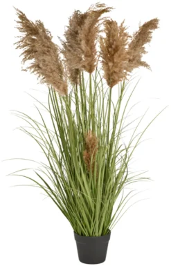 Kunstgress med ekte pampas 120 cm