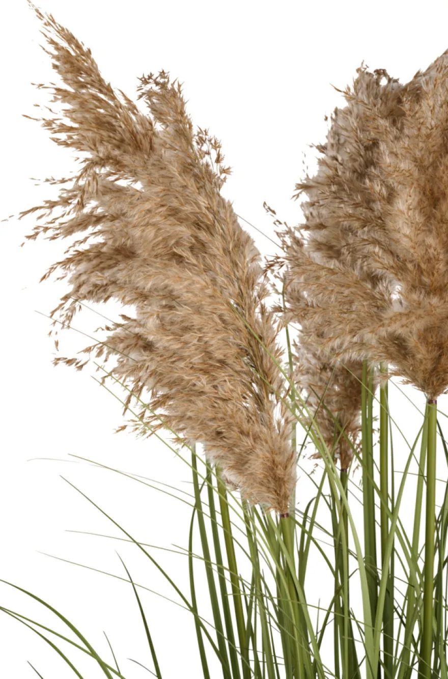 Kunstgress med ekte pampas 120 cm