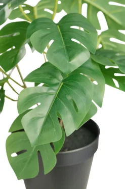 Kunstig monstera plante i potte H32 cm innendørs - Day