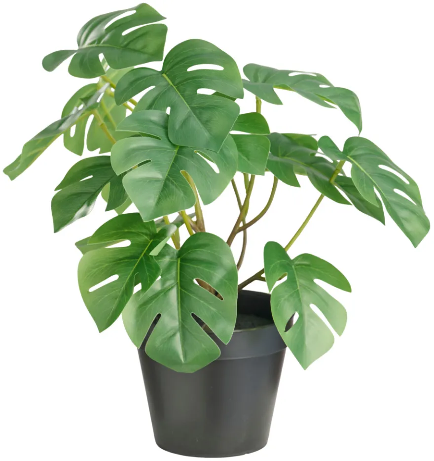 Kunstig monstera plante i potte H32 cm innendørs - Day