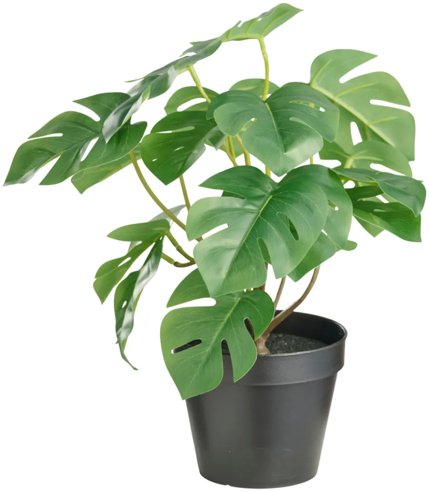 Kunstig monstera plante i potte H32 cm innendørs - Day