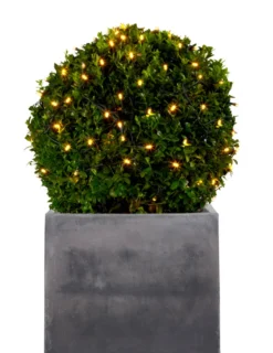 Lysnett m/timer 100 LED-pærer 1 x 1,8 meter