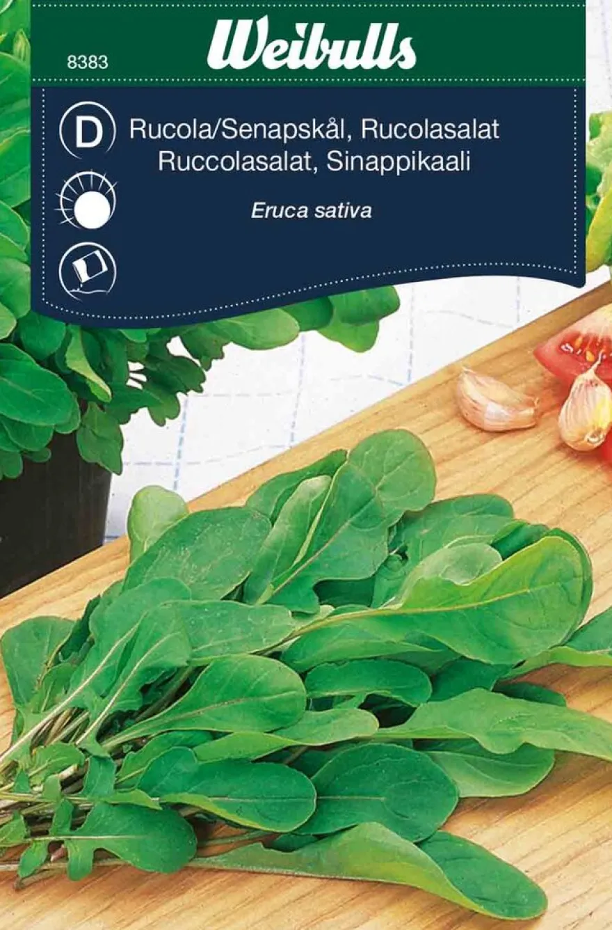 Ruccolasalat