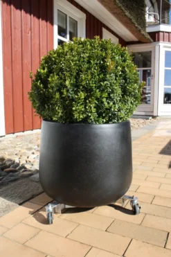 Rullevogn til parasollfot og krukker - Garden®