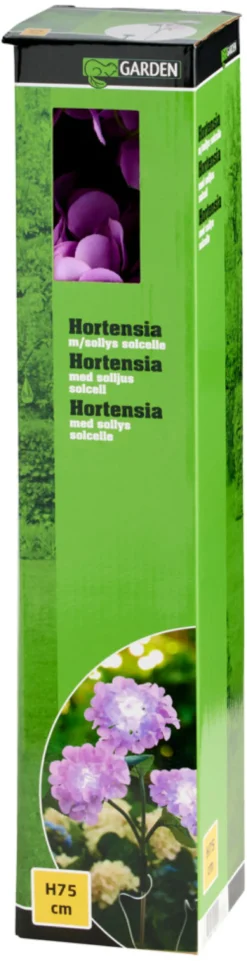 Solcelleblomst Hortensia – Garden®