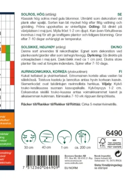 Solsikke høy, "Uniflorus"