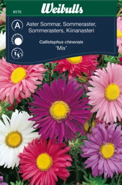 Sommerasters "Mix"