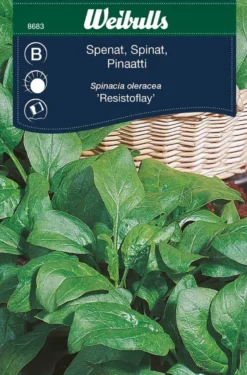 Spinat "Fabris"