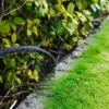 Svetteslange 1/2" med 2 Lux-koblinger 15 meter – Garden®