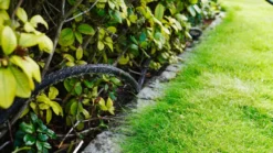 Svetteslange 1/2" med 2 Lux-koblinger 15 meter – Garden®