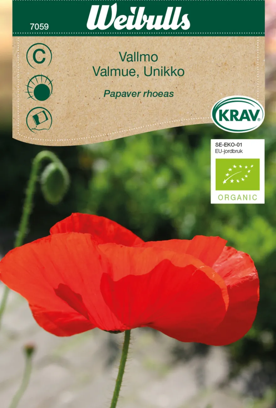 Valmue ´Unikko` økologisk