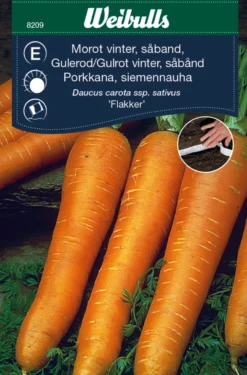 Vintergulrot, såbånd "Flakker"